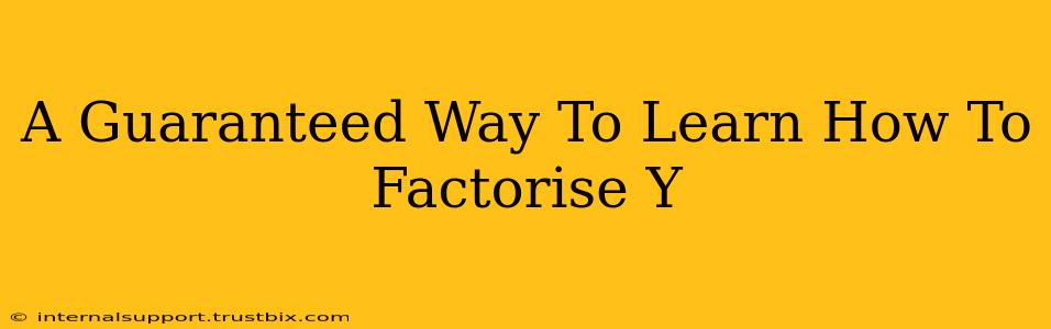 A Guaranteed Way To Learn How To Factorise Y