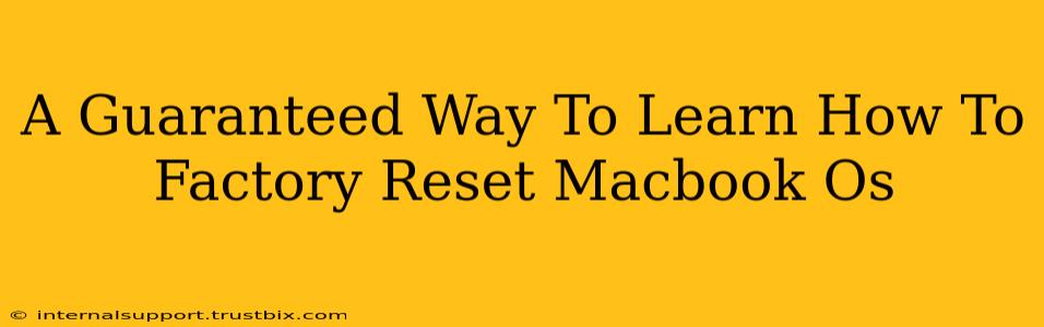 A Guaranteed Way To Learn How To Factory Reset Macbook Os