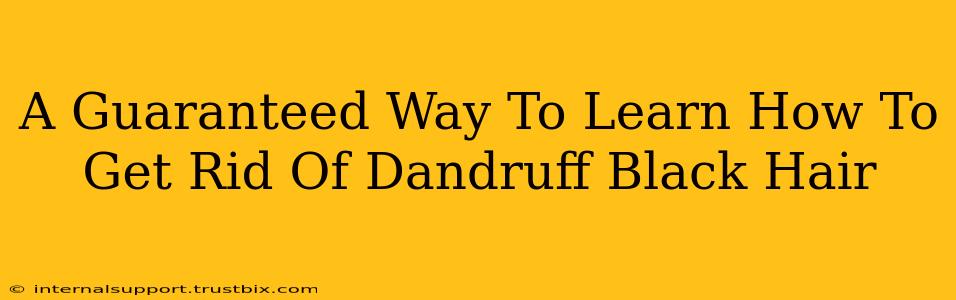 A Guaranteed Way To Learn How To Get Rid Of Dandruff Black Hair