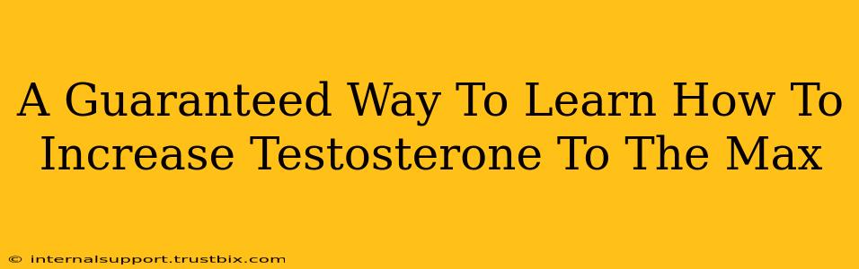 A Guaranteed Way To Learn How To Increase Testosterone To The Max