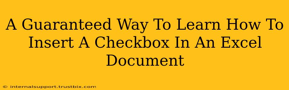 A Guaranteed Way To Learn How To Insert A Checkbox In An Excel Document