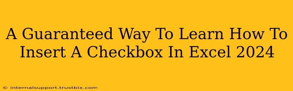 A Guaranteed Way To Learn How To Insert A Checkbox In Excel 2024