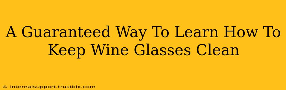 A Guaranteed Way To Learn How To Keep Wine Glasses Clean