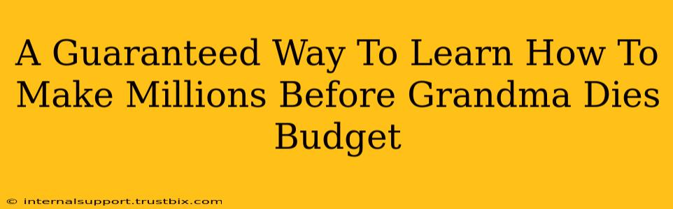 A Guaranteed Way To Learn How To Make Millions Before Grandma Dies Budget