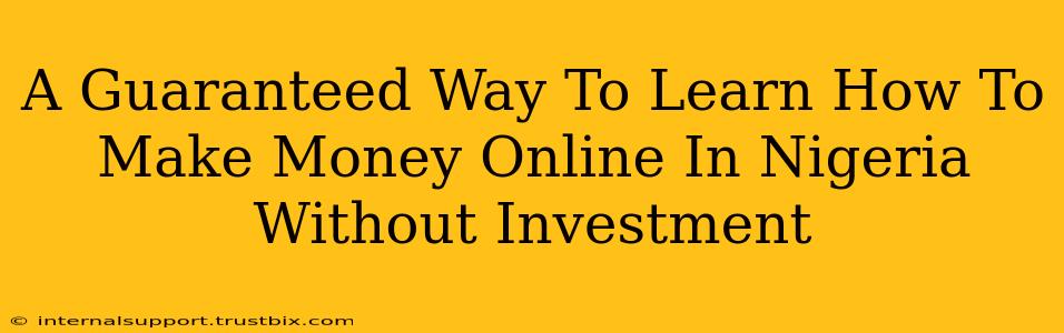 A Guaranteed Way To Learn How To Make Money Online In Nigeria Without Investment