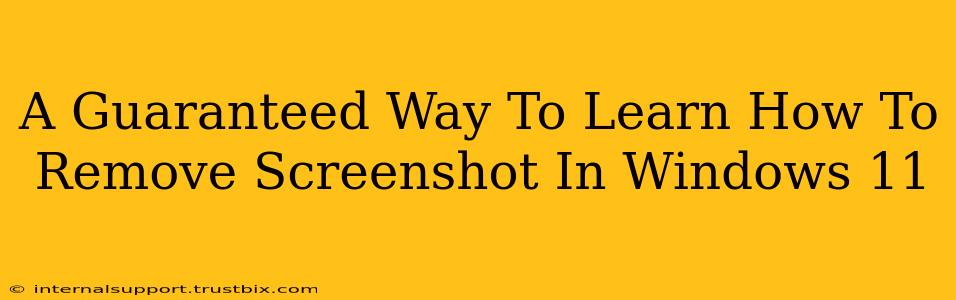 A Guaranteed Way To Learn How To Remove Screenshot In Windows 11