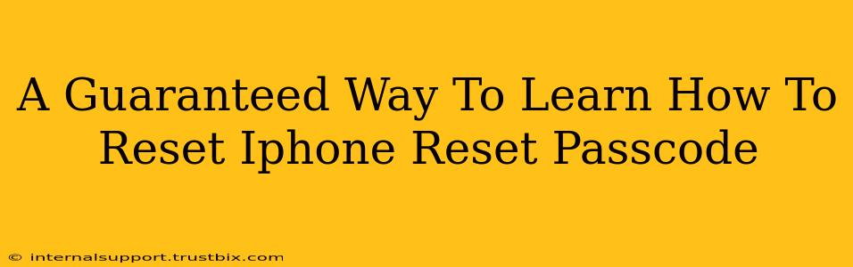 A Guaranteed Way To Learn How To Reset Iphone Reset Passcode