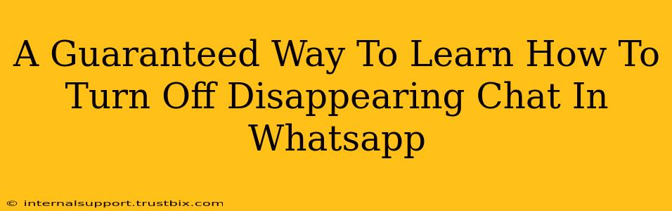 A Guaranteed Way To Learn How To Turn Off Disappearing Chat In Whatsapp