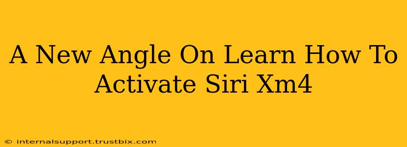 A New Angle On Learn How To Activate Siri Xm4