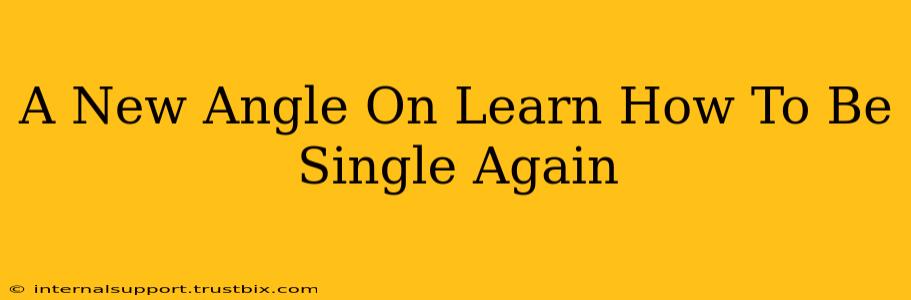 A New Angle On Learn How To Be Single Again