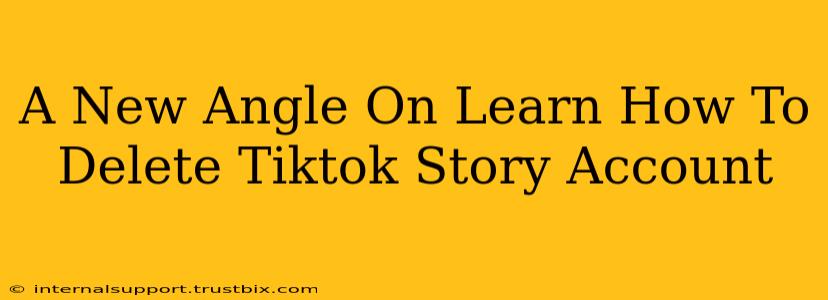 A New Angle On Learn How To Delete Tiktok Story Account