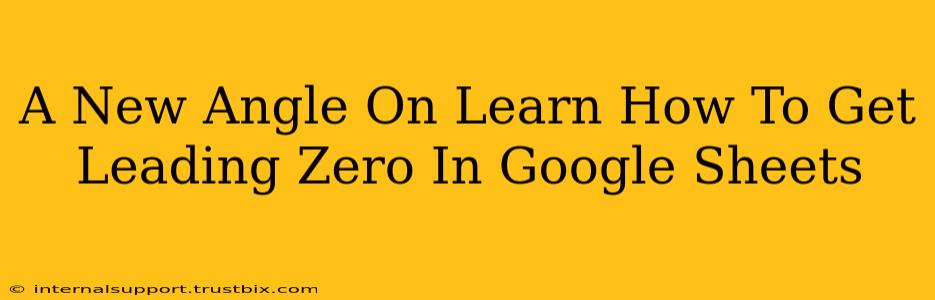 A New Angle On Learn How To Get Leading Zero In Google Sheets