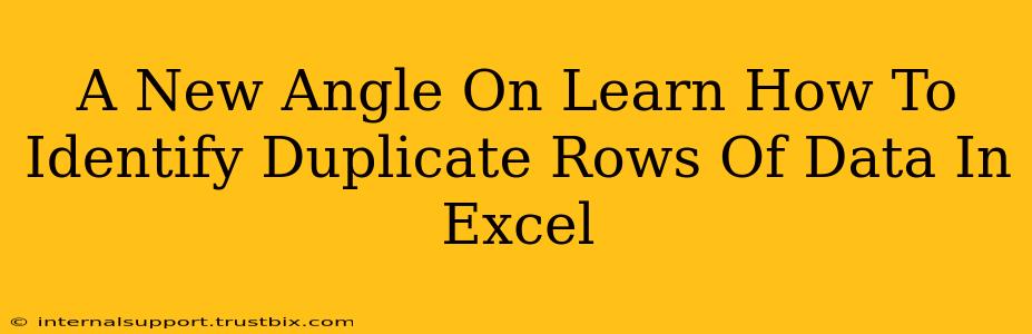 A New Angle On Learn How To Identify Duplicate Rows Of Data In Excel