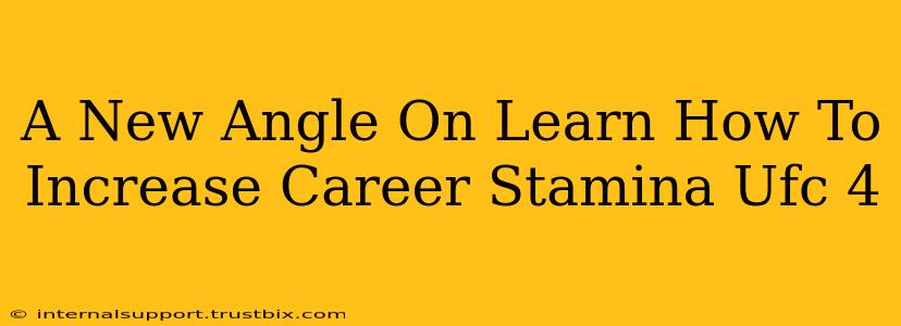 A New Angle On Learn How To Increase Career Stamina Ufc 4