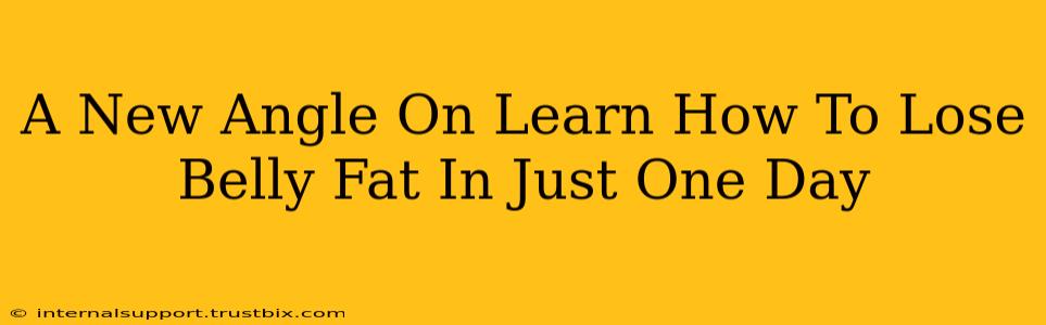 A New Angle On Learn How To Lose Belly Fat In Just One Day