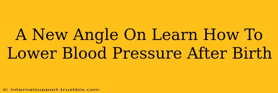 A New Angle On Learn How To Lower Blood Pressure After Birth