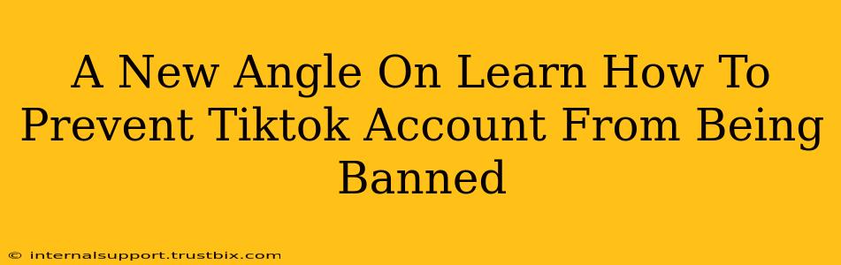 A New Angle On Learn How To Prevent Tiktok Account From Being Banned