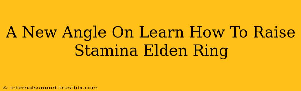 A New Angle On Learn How To Raise Stamina Elden Ring