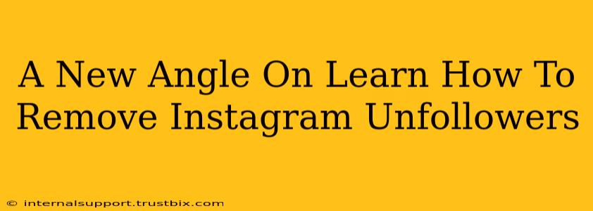 A New Angle On Learn How To Remove Instagram Unfollowers