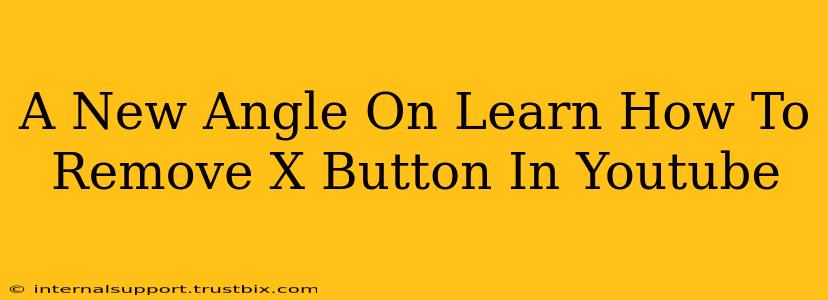 A New Angle On Learn How To Remove X Button In Youtube