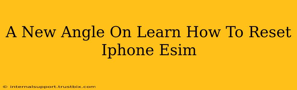 A New Angle On Learn How To Reset Iphone Esim