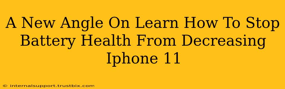 A New Angle On Learn How To Stop Battery Health From Decreasing Iphone 11