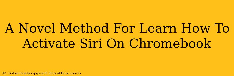 A Novel Method For Learn How To Activate Siri On Chromebook