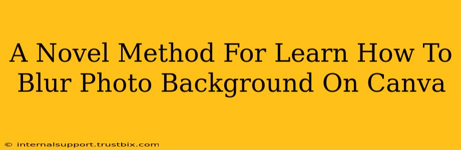 A Novel Method For Learn How To Blur Photo Background On Canva