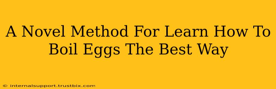 A Novel Method For Learn How To Boil Eggs The Best Way