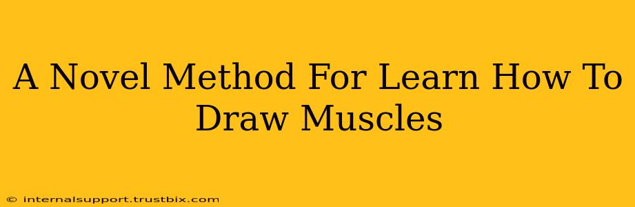 A Novel Method For Learn How To Draw Muscles