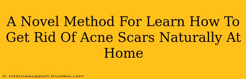 A Novel Method For Learn How To Get Rid Of Acne Scars Naturally At Home