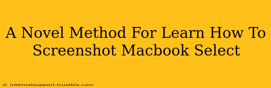 A Novel Method For Learn How To Screenshot Macbook Select