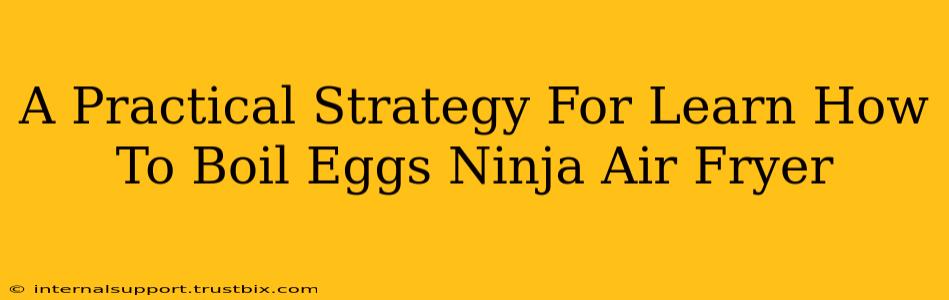 A Practical Strategy For Learn How To Boil Eggs Ninja Air Fryer