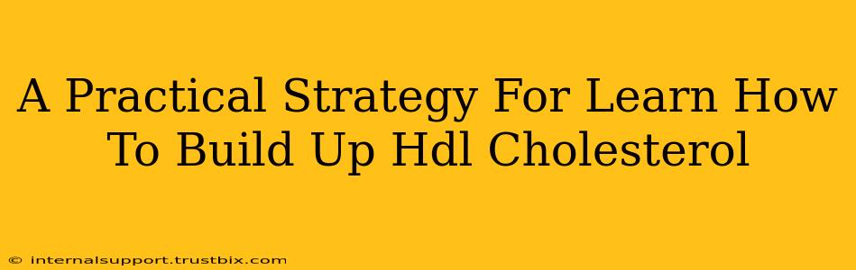 A Practical Strategy For Learn How To Build Up Hdl Cholesterol