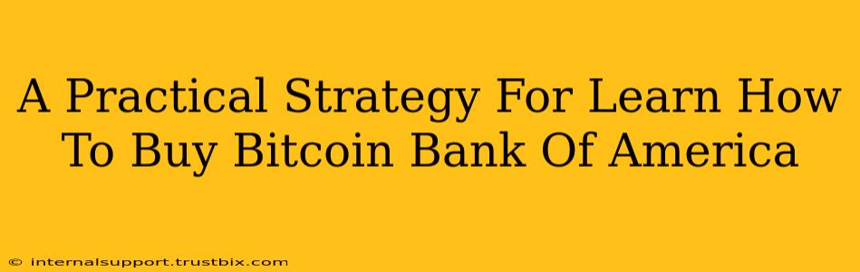 A Practical Strategy For Learn How To Buy Bitcoin Bank Of America