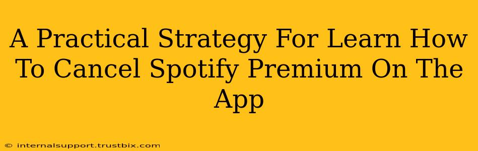 A Practical Strategy For Learn How To Cancel Spotify Premium On The App