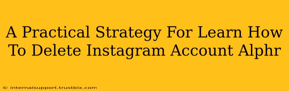 A Practical Strategy For Learn How To Delete Instagram Account Alphr