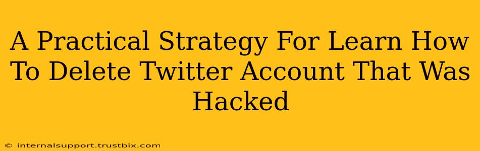 A Practical Strategy For Learn How To Delete Twitter Account That Was Hacked