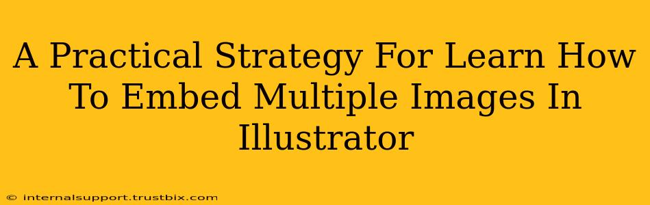 A Practical Strategy For Learn How To Embed Multiple Images In Illustrator