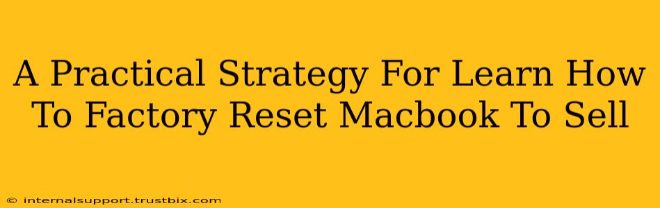 A Practical Strategy For Learn How To Factory Reset Macbook To Sell