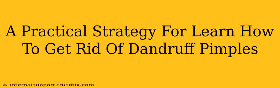 A Practical Strategy For Learn How To Get Rid Of Dandruff Pimples