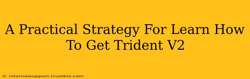 A Practical Strategy For Learn How To Get Trident V2