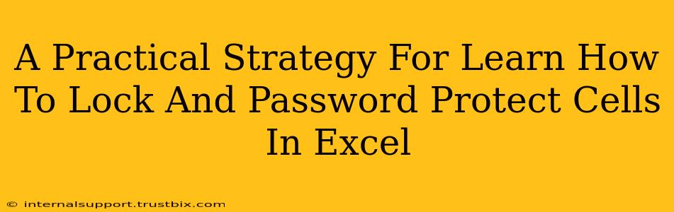 A Practical Strategy For Learn How To Lock And Password Protect Cells In Excel