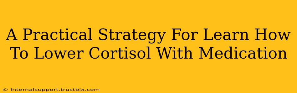 A Practical Strategy For Learn How To Lower Cortisol With Medication