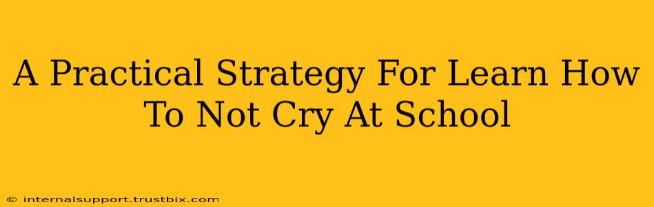 A Practical Strategy For Learn How To Not Cry At School