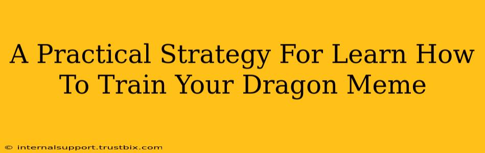 A Practical Strategy For Learn How To Train Your Dragon Meme