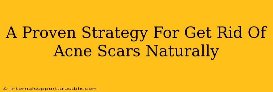 A Proven Strategy For Get Rid Of Acne Scars Naturally