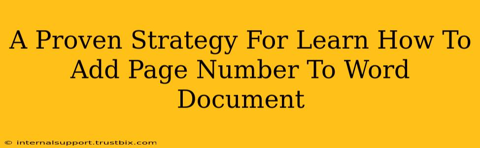 A Proven Strategy For Learn How To Add Page Number To Word Document