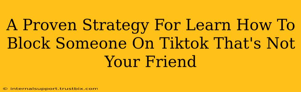 A Proven Strategy For Learn How To Block Someone On Tiktok That's Not Your Friend