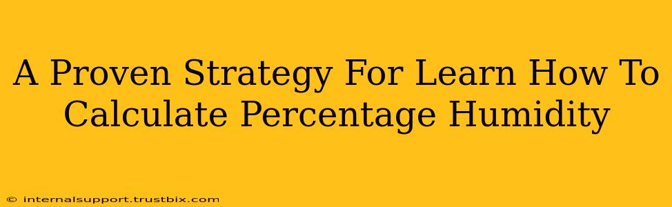 A Proven Strategy For Learn How To Calculate Percentage Humidity